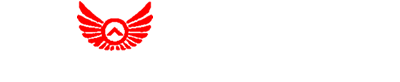 佰亿达LOGO