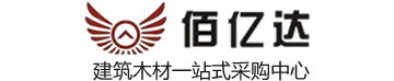 佰亿达LOGO