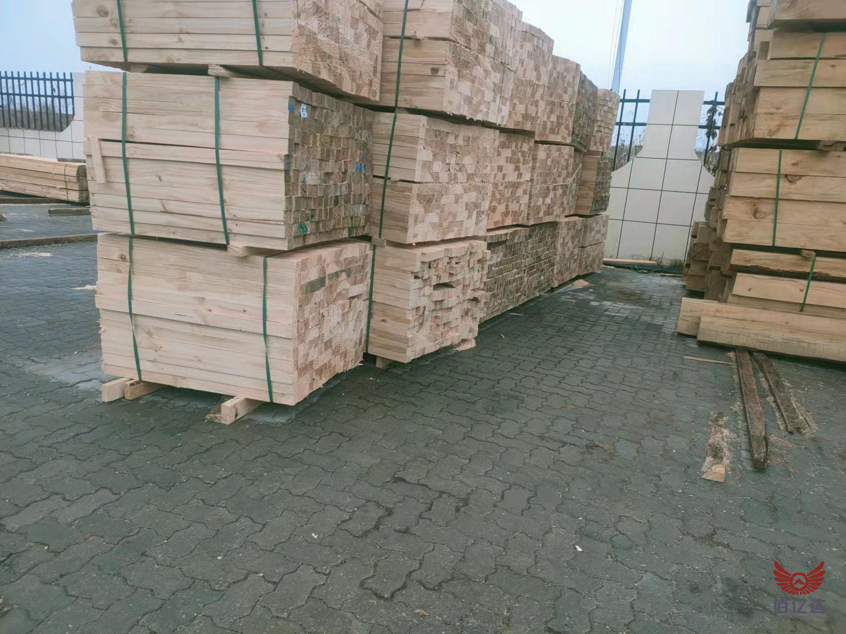 <a href='https://www.baiyidamuye.com/jzmf/' target='_blank'><u>建筑木方</u></a>-加勒比松