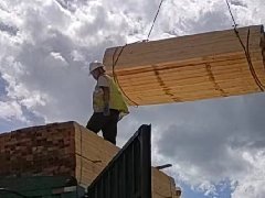 甘南藏族自治州合作市建筑木方到货信息【07-19】